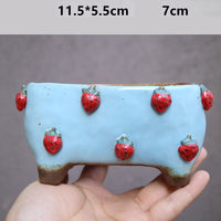 Stoneware Succulent Plant Pot