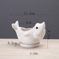 Cartoon Marine Succulent Flower Pot Ceramic Creative