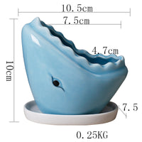 Cartoon Marine Succulent Flower Pot Ceramic Creative