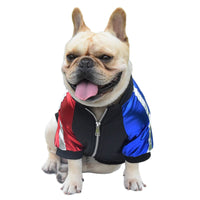 Trendy Bee Spring And Autumn Dog Jacket