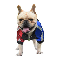 Trendy Bee Spring And Autumn Dog Jacket