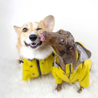 Windproof And Rainproof British Retro Dog Raincoat