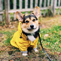 Windproof And Rainproof British Retro Dog Raincoat