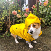 Windproof And Rainproof British Retro Dog Raincoat