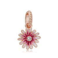 Pink daisy charm beautiful flowers
