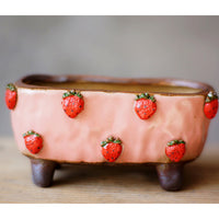 Stoneware Succulent Plant Pot