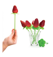 Creative Fruit Vegetable Bouquet Stem Picks (10 Pcs)