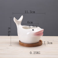 Cartoon Marine Succulent Flower Pot Ceramic Creative