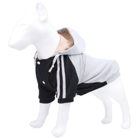 Autumn And Winter Dog Hooded Sweatshirt Jackets
