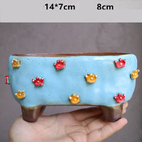 Stoneware Succulent Plant Pot