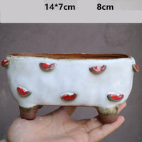 Stoneware Succulent Plant Pot