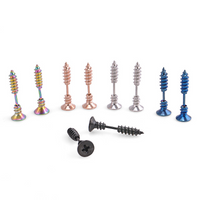 Titanium Steel Screw Earring
