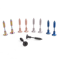 Titanium Steel Screw Earring
