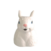 Ceramic Cute Rabbit Watering Pitcher