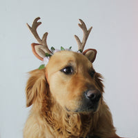 Antlers Pet Cat Dog Floral Headband