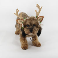 Antlers Pet Cat Dog Floral Headband