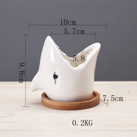 Cartoon Marine Succulent Flower Pot Ceramic Creative