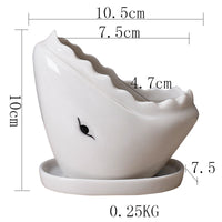 Cartoon Marine Succulent Flower Pot Ceramic Creative