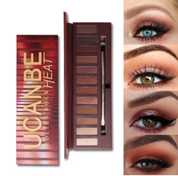 UCanBe Molten Rock Heat 12-Colors Eyeshadow Palette