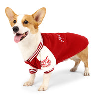 Awesome Baseball Dog Jacket
