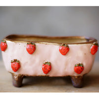 Stoneware Succulent Plant Pot
