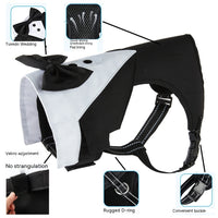 Sangle de poitrine et laisse pour chien Tuxedo