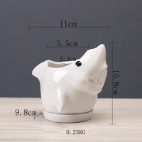 Cartoon Marine Succulent Flower Pot Ceramic Creative