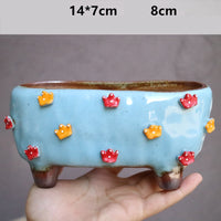 Stoneware Succulent Plant Pot