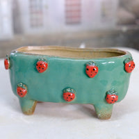 Stoneware Succulent Plant Pot