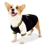 Awesome Baseball Dog Jacket