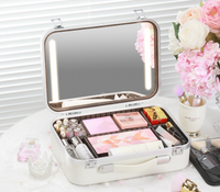Fashionable Large Capacity Cosmetic Case With Mirror and Light