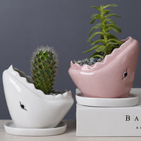 Cartoon Marine Succulent Flower Pot Ceramic Creative