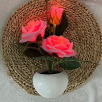 Ambiente de decoración de luz nocturna LED rosa