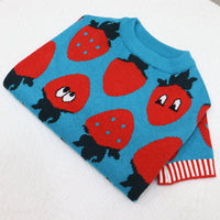 Cartoon Strawberry Dog Sweater