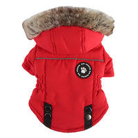 Cotton Chest-Back Zip Winter Dog Jacket
