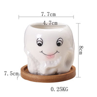 Cartoon Marine Succulent Flower Pot Ceramic Creative