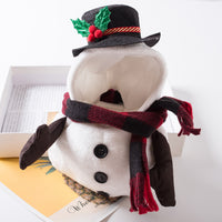 Christmas  Snowman Pet Costume