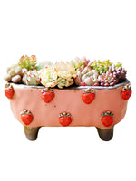 Stoneware Succulent Plant Pot
