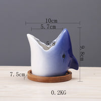 Cartoon Marine Succulent Flower Pot Ceramic Creative