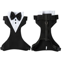 Sangle de poitrine et laisse pour chien Tuxedo