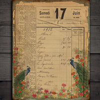 Background Paper Peacock Plant Vintage Hand Account Material Stickers