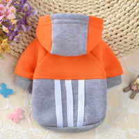 Pet Clothes Dog Clothes Fashion Fleece Hooded Contrast Sweatshirt