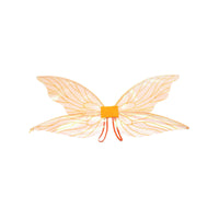 Ailes de costume de fée