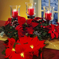 Red Poinsettia Garland String Lights