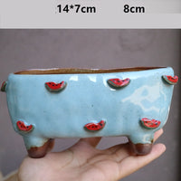 Stoneware Succulent Plant Pot
