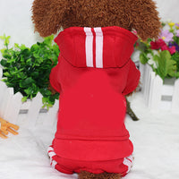 Four-legged Pet Sweatshirt
