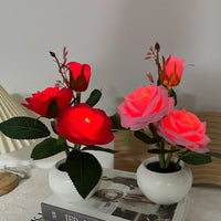 Ambiente de decoración de luz nocturna LED rosa