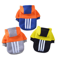 Pet Clothes Dog Clothes Fashion Fleece Hooded Contrast Sweatshirt