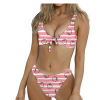 Fruit Print Bikini Swimsuit