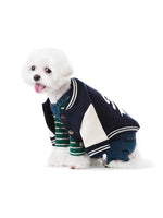 Sniff Baseball Dog Jacket